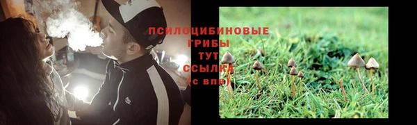 мескалин Баксан