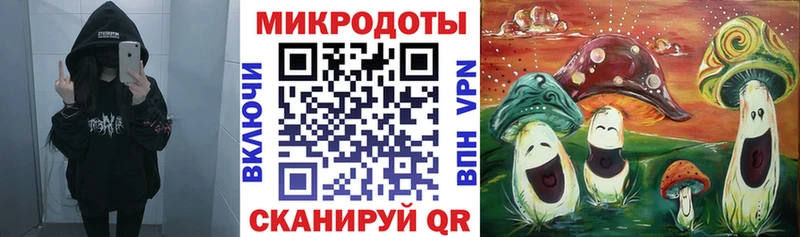 магазин MEGA как зайти Галлюциногенные грибы Psilocybine cubensis Ладушкин